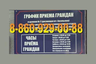 Фото: телеграм-канал ГУ МВД России по Запорожской области