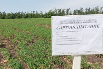 Фото: телеграм-канал министерства АПК и продовольственной политики Запорожской области