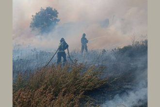 Фото: МЧС Запорожской области