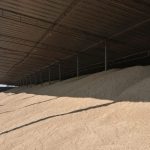 Фото: Южное межрегиональное управление Россельхознадзора