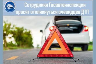 Фото: ГАИ Запорожской области