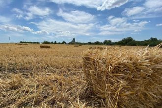 Фото: телеграм-канал губернатора Запорожской области