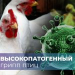 Фото: Управление ветеринарии Запорожской области